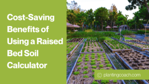 Cost-Saving Benefits of Using a Raised Bed Soil Calculator (2)