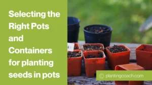 Selecting the Right Pots and Containers for planting seeds in pots