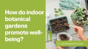 How do indoor botanical gardens promote well-being