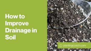 Improve Drainage in Soil