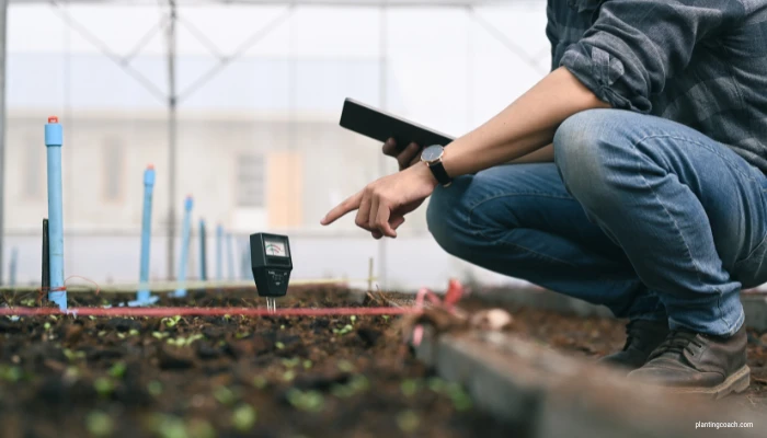 10 Actionable Ways to Make Plants Grow Faster and Bigger