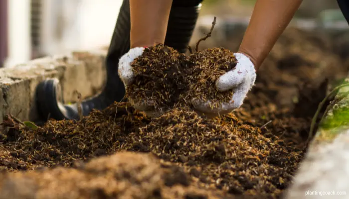 Compost