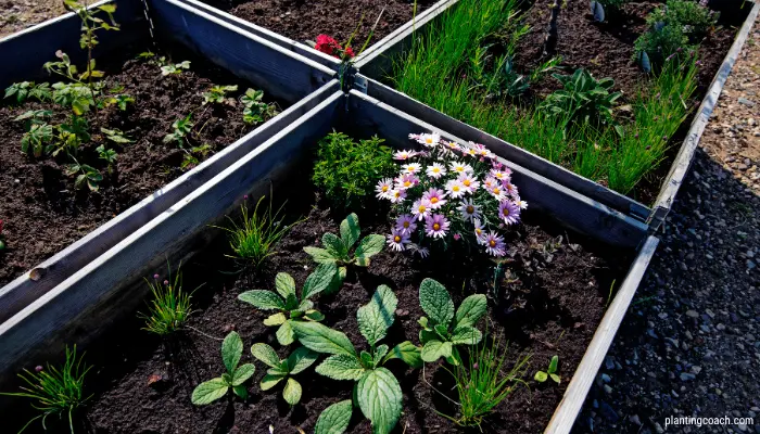 Raised Bed Mix