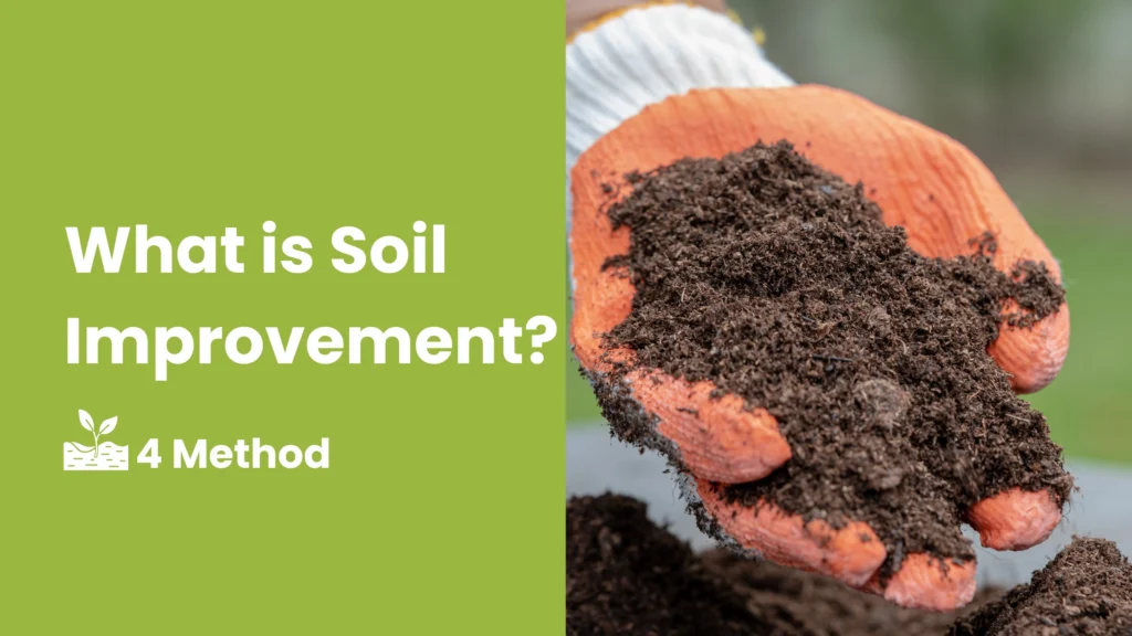 What is Soil Improvement? 4 Soil improvement method - Planting Coach ...