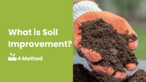 What is Soil Improvement
