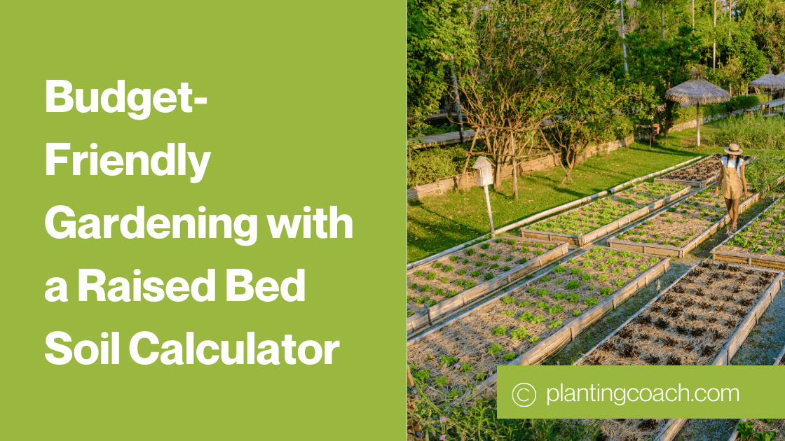 Budget-Friendly Gardening with a Raised Bed Soil Calculator