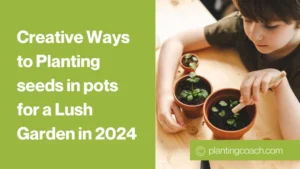 Creative Ways to Planting seeds in pots for a Lush Garden in 2024