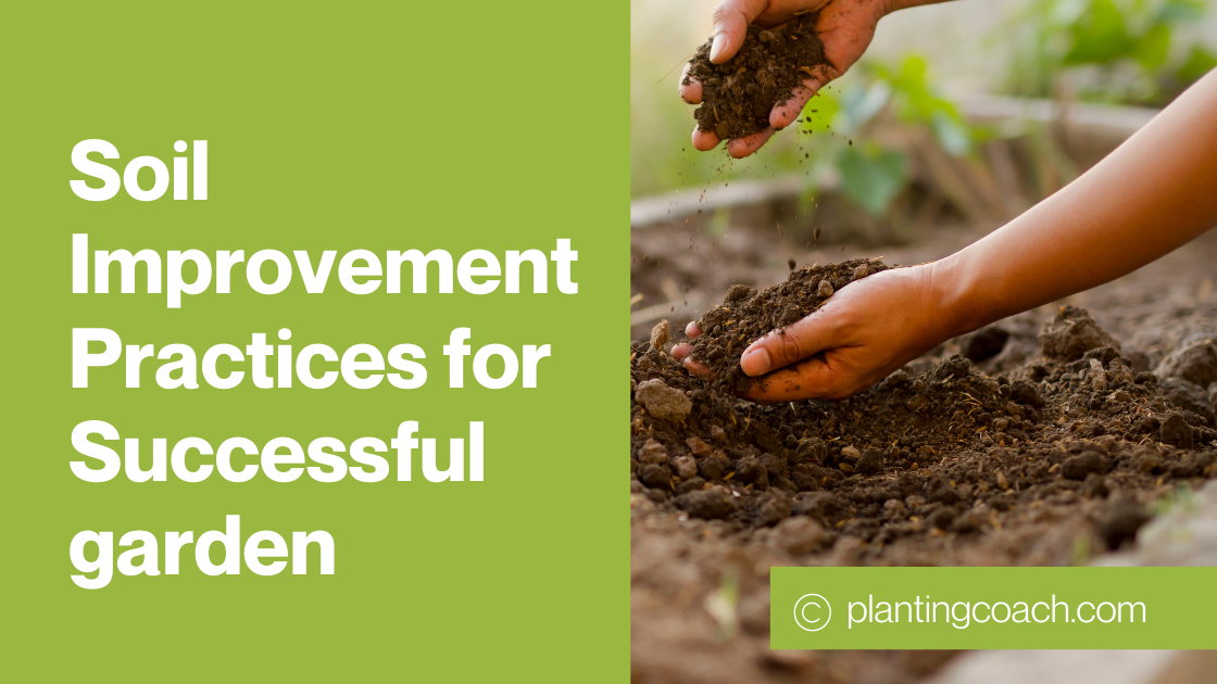 Soil Improvement Practices for Successful garden